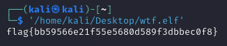 GoCrackMe1 binary printing the flag after reversing the conditional jump
