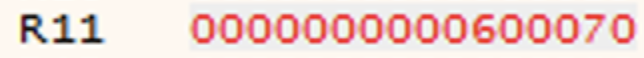 x64dbg R11 register value pointing to the decrypted NimCrackMe1 flag string