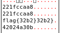 EDB R12 register showing partial flag before program exits with Access Still Denied