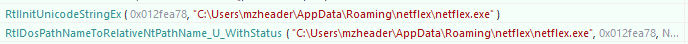 API Monitor showing netflex.exe file path reference in AppData